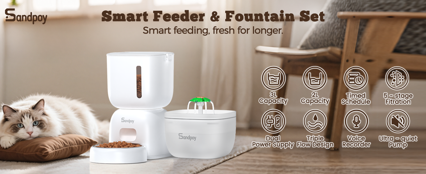 automatic cat feeder