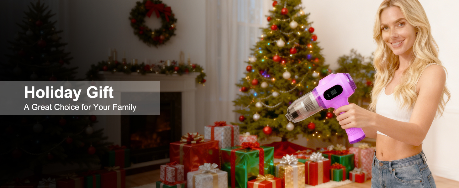 holiday gift