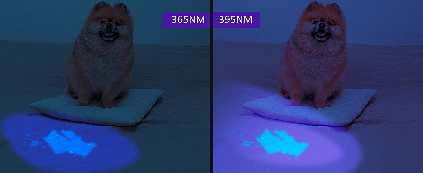 uv resin kit with light