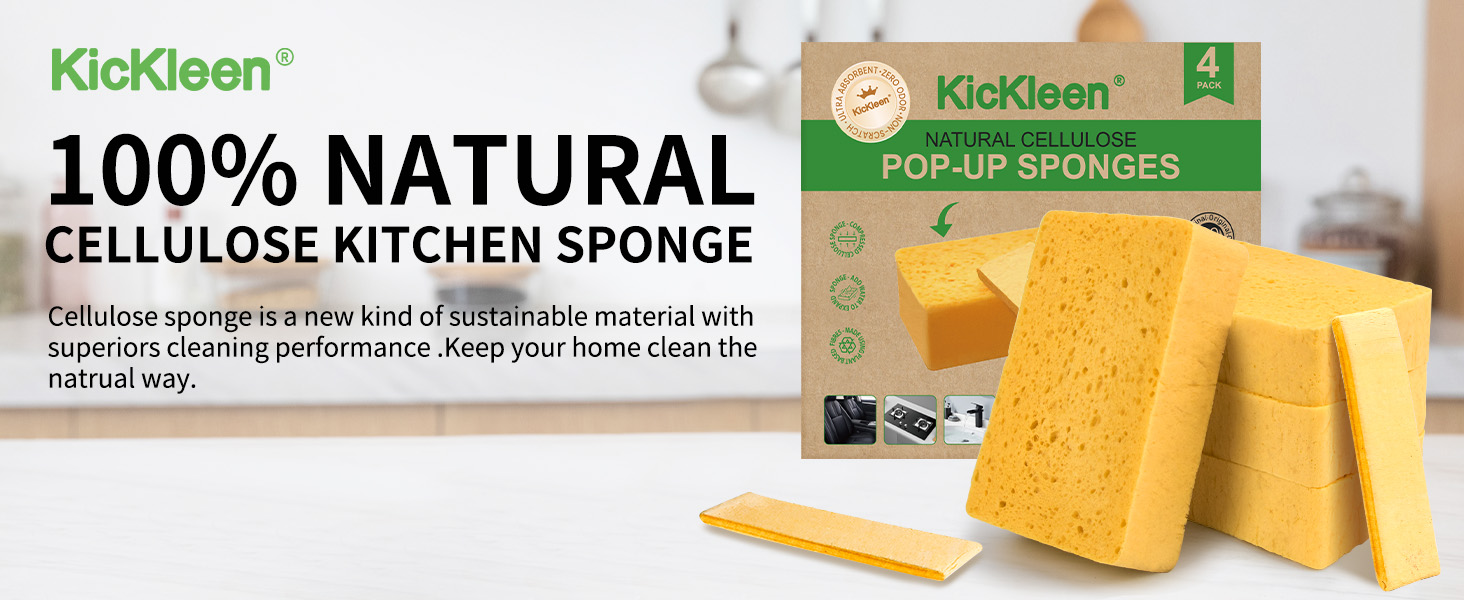 kickleen french sponge