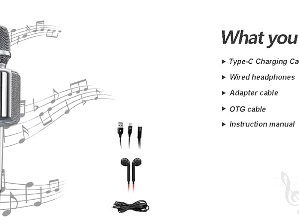  Professional Wireless Karaoke Microphone 