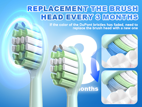 electric toothbrush