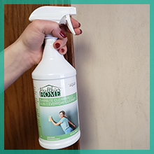 painted walls paint painting painter wall baseboard moulding molding 