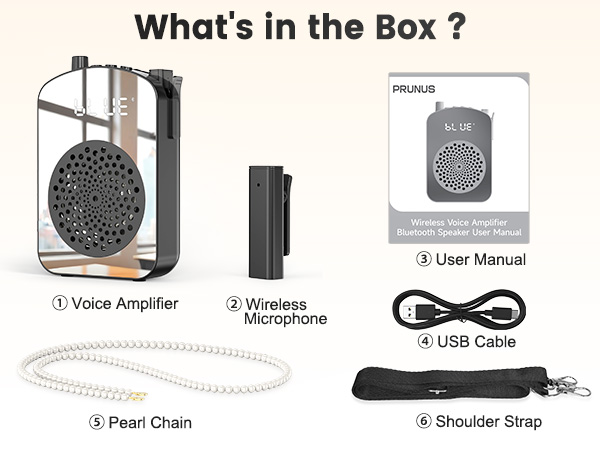 Wireless Voice Amplifier for classroom
