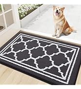 Buganda Indoor Door Mat, Resist Dirt and Absorbent Entrance Mat, Anti-Slip, Low Profile Inside Fl...