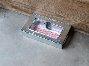 multi catch container placement