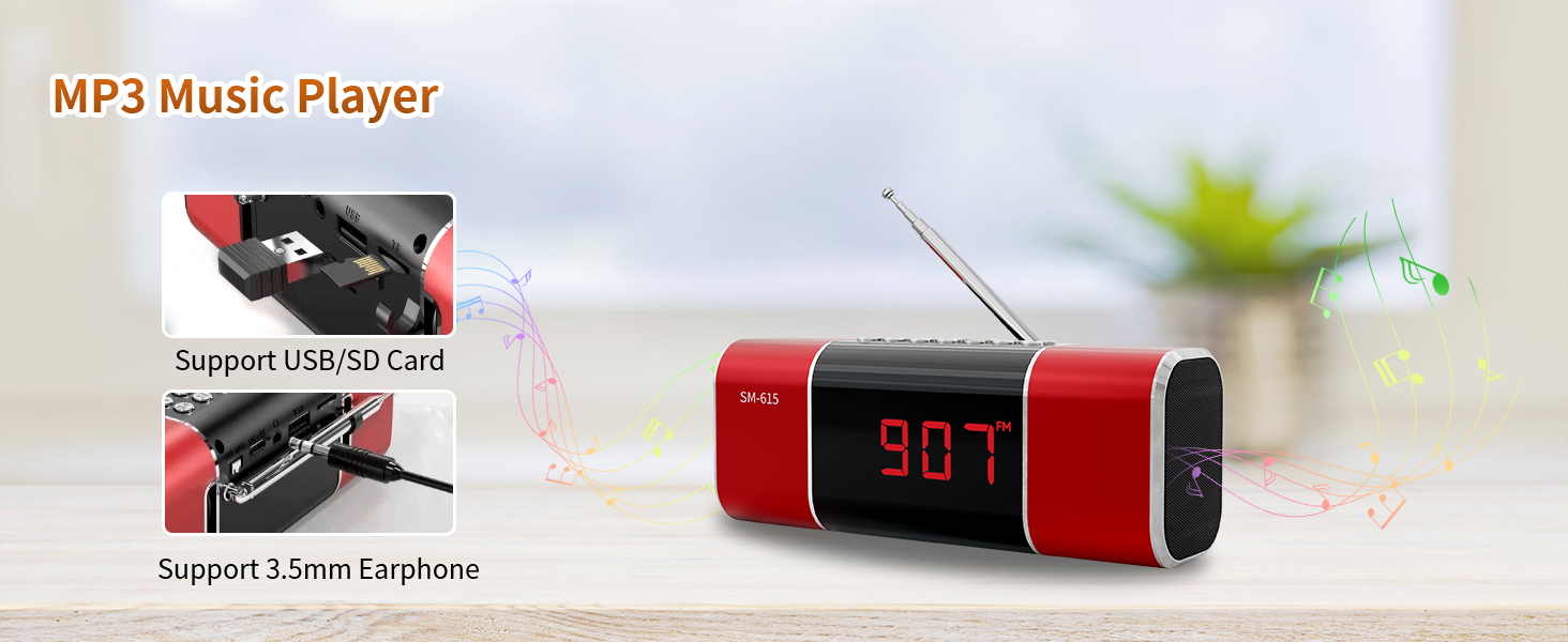 FM Radio Bluetooth Speaker