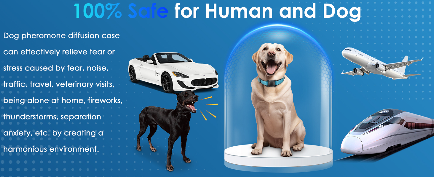 Relaxants Carrying Box