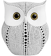 Owl Statue for Home Decor Accents Living Room Office Bedroom Kitchen Laundry House Apartment Dorm...