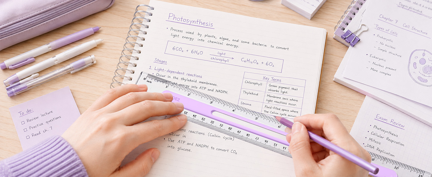 ruler for school