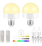 Rechargeable Battery Operated Light Bulb with Remote Control, 15 Colors Detachable LED Light Bulb...