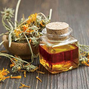 Natural Dried Flowers Kit