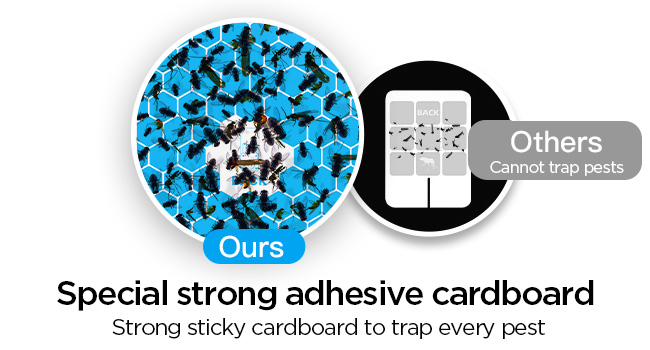 fly killer gnat killer plug in best safe electric flying insect trap fruit fly bug blue UV light