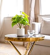 fake plants