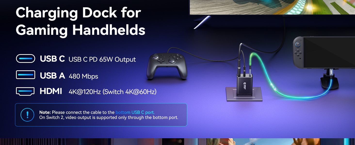 switch base dock