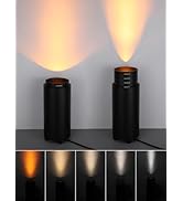 TORCHSTAR 5CCT Zoomable Uplighting Floor Can Light with Auto ON/Off Switch, 10.39 Inch Large Size...