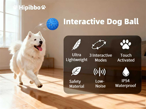 dog ball