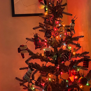 colored christmas lights