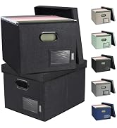BALEINE File Organizer Box with Lid, Collapsible File Folder Organizer with Plastic Slide, Filing...