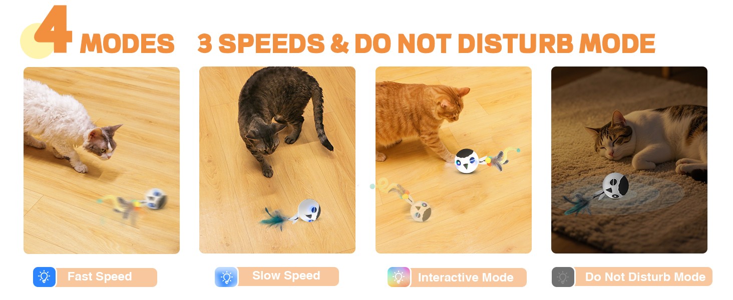 interactive cat toy