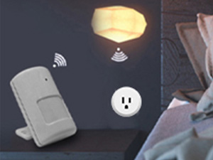 plug with motion sensor