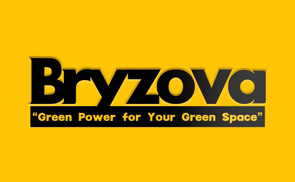 Bryzova LOGO