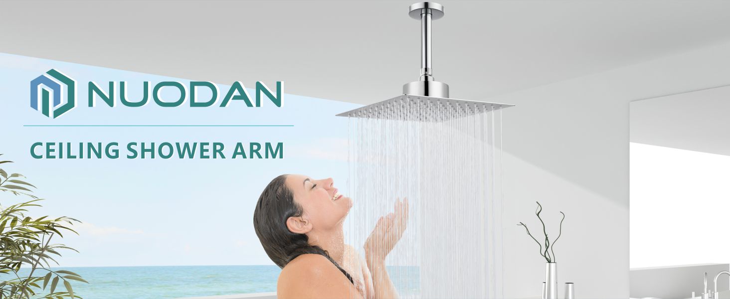 shower arm
