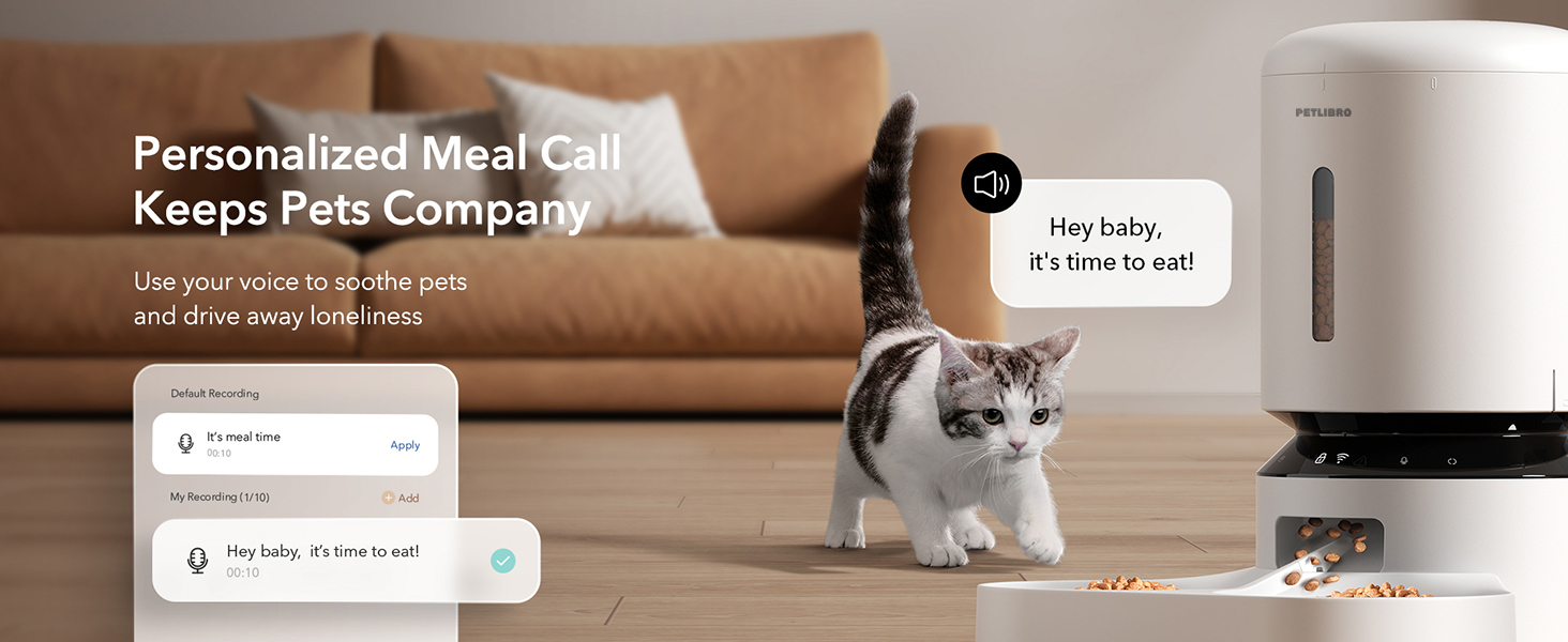 automatic pet feeder for 2 cats