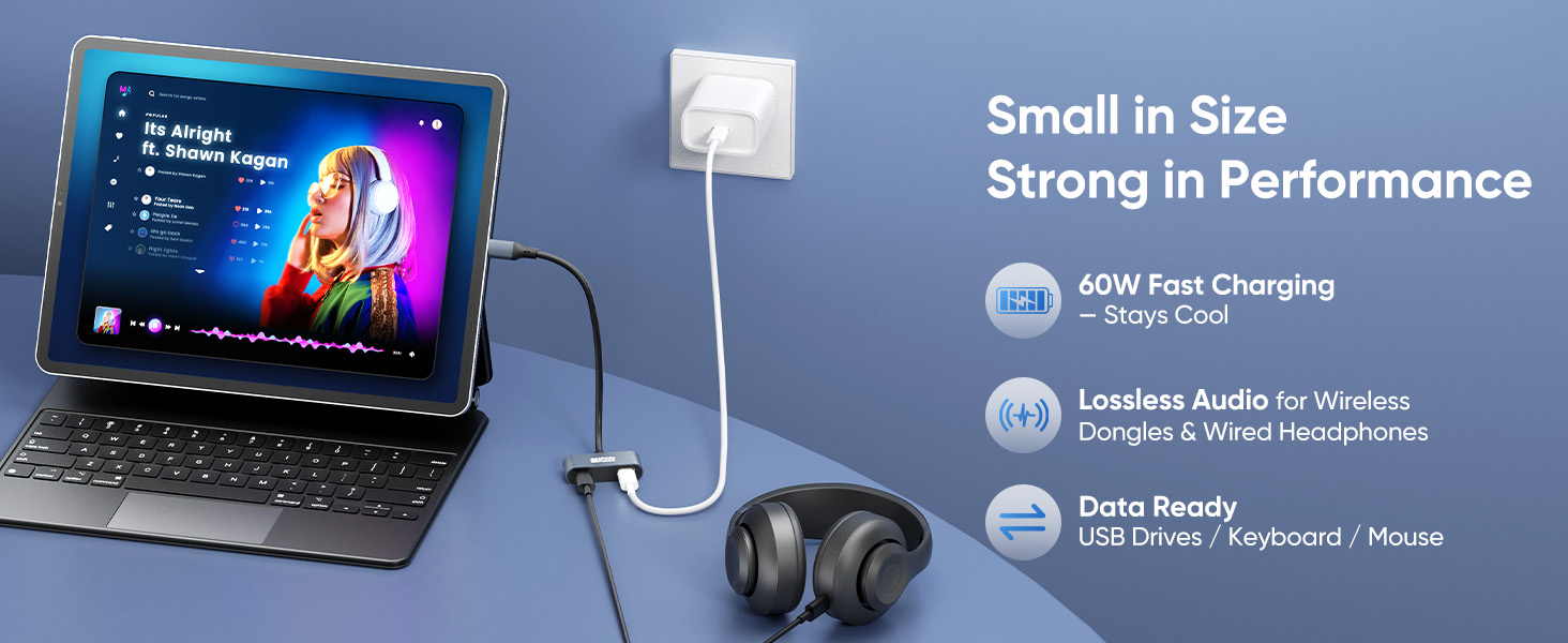 usb c splitter 1 in 2 out usbc hub adapter usb c to dual usb c power and data charging