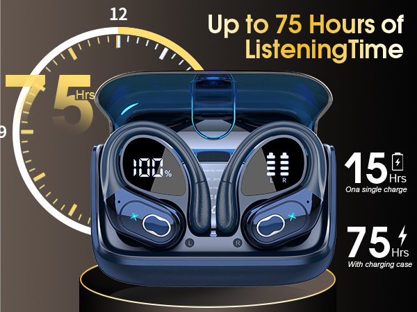 True Wireless Noise Cancelling Earbuds