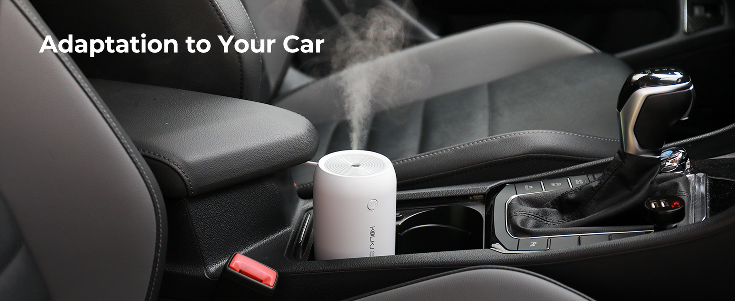 Adaptation to your car