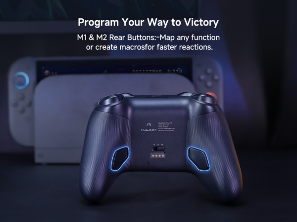 nintendo switch 2 controller pro