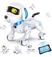 MindPal Remote Control Toy Series