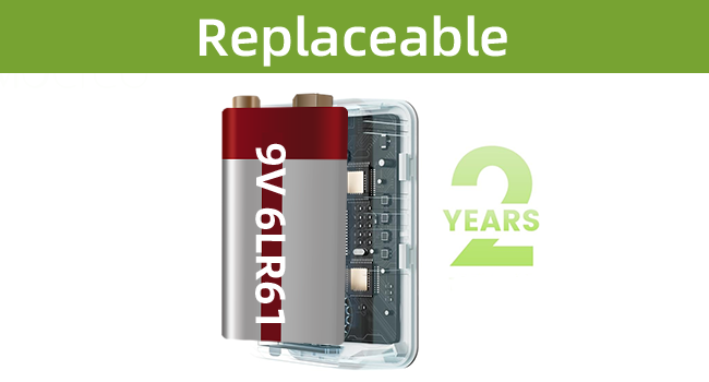 Replaceable Battery