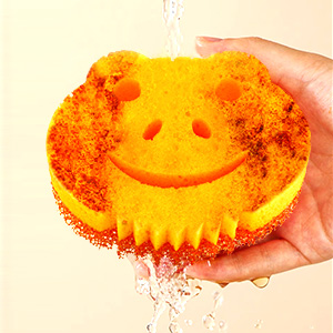 dish sponge
