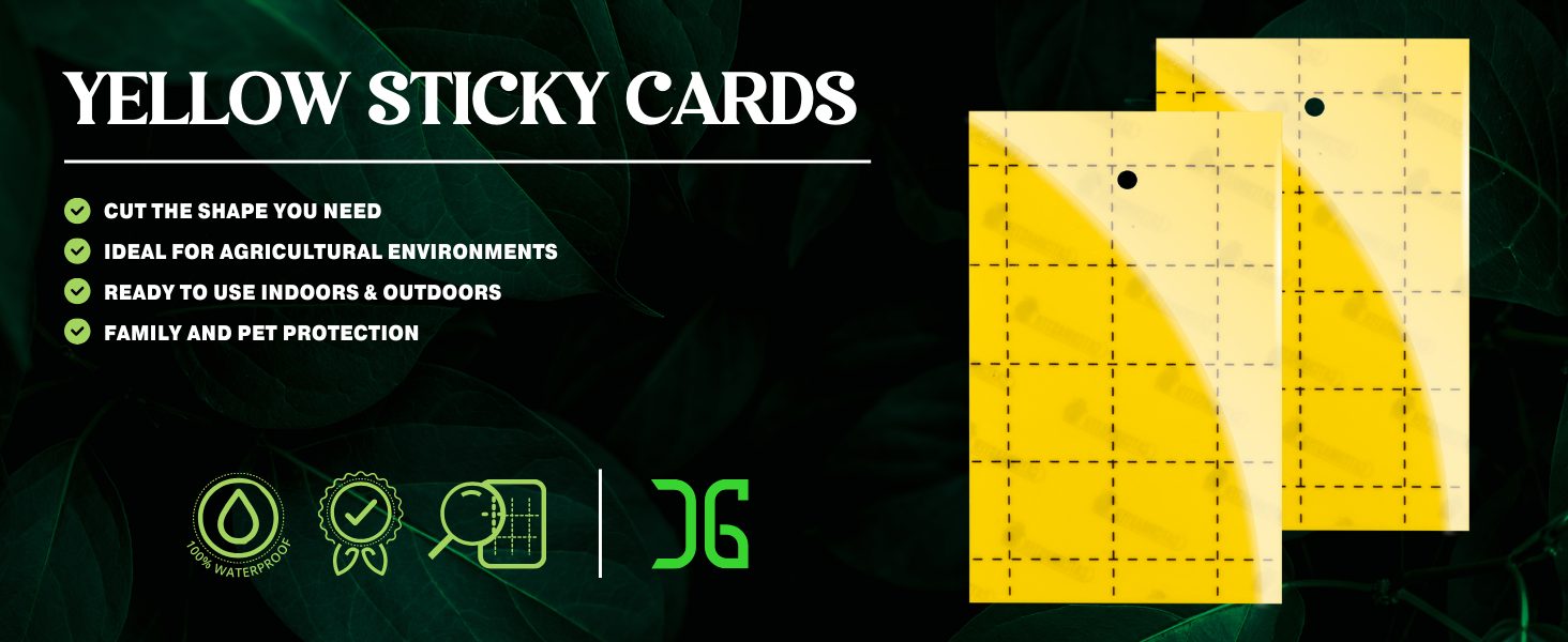 yellow sticky cards