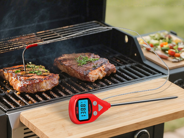 thermometer for cooking