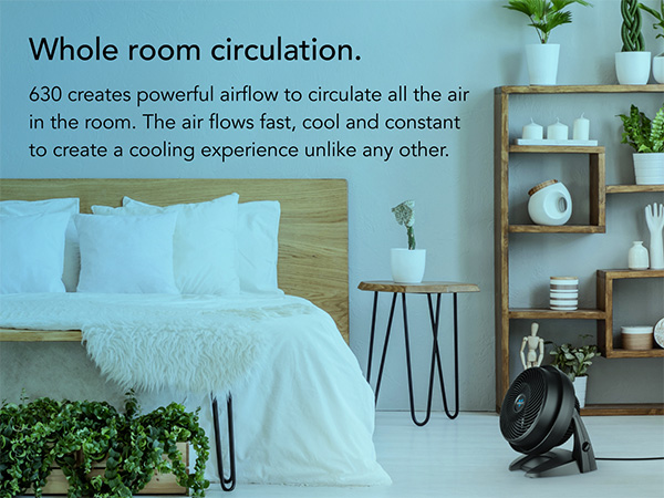 Whole Room Circulation Mobile