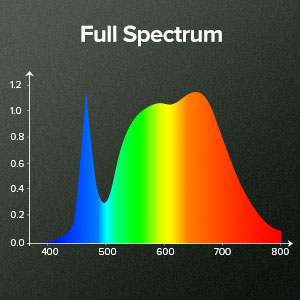 Full Spectrum