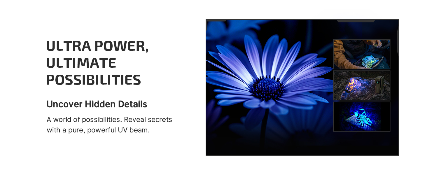 UV flashlight