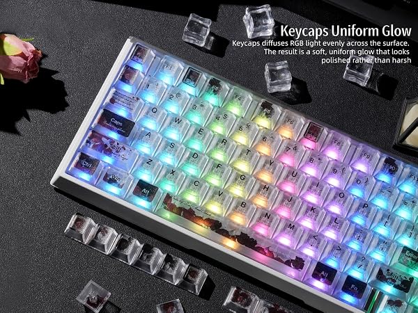 Clear Keycaps, Shine-Through Keycaps, Jelly Keycaps Cherry Profile Keycaps for Mechanical Keyboard
