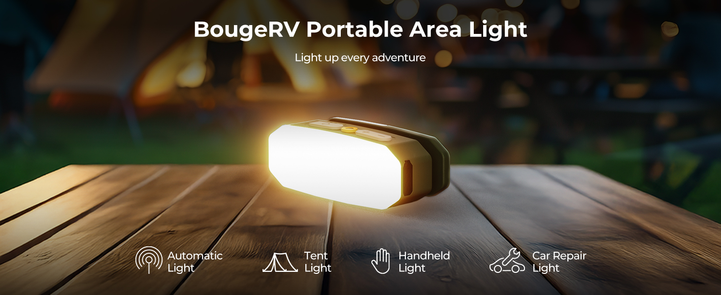 AL01 AREA LIGHT
