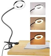 LINTYLE Desk Lamp, 5W Clip Light, Eye Caring Reading Light for Bed, 6 Dimmable Brightness Clamp B...