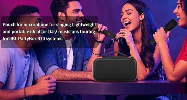 microphone carrying case