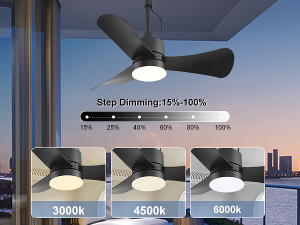 outdoor ceiling fan with light