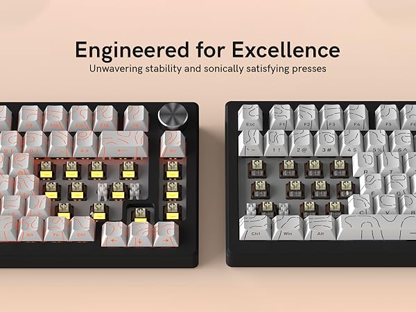 Engineered for Excellence