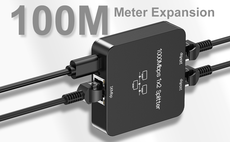 ethernet splitter 1 to 2 out