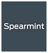 adults plastic flossing brush bristles flosser de dientes palillos toothpick