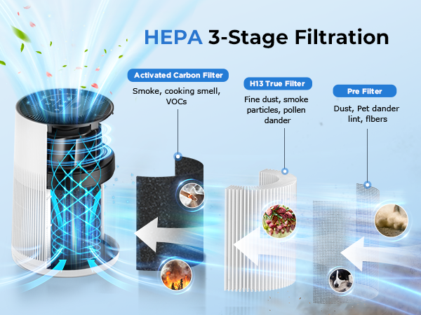 air purifiers for home large room