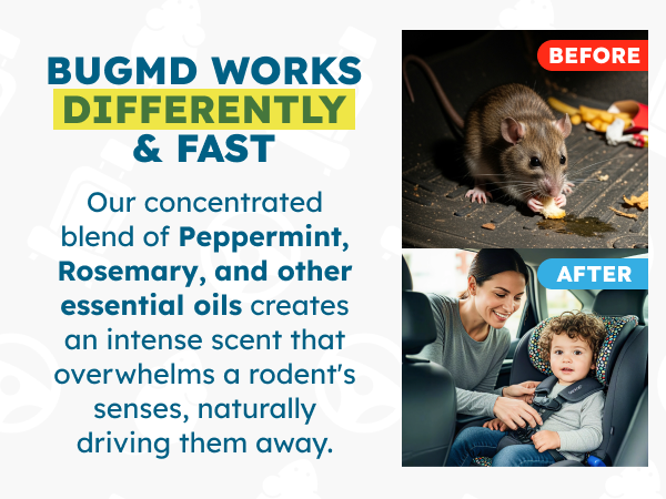 Rodent repellent for cars provides natural deterrent for vehicle use